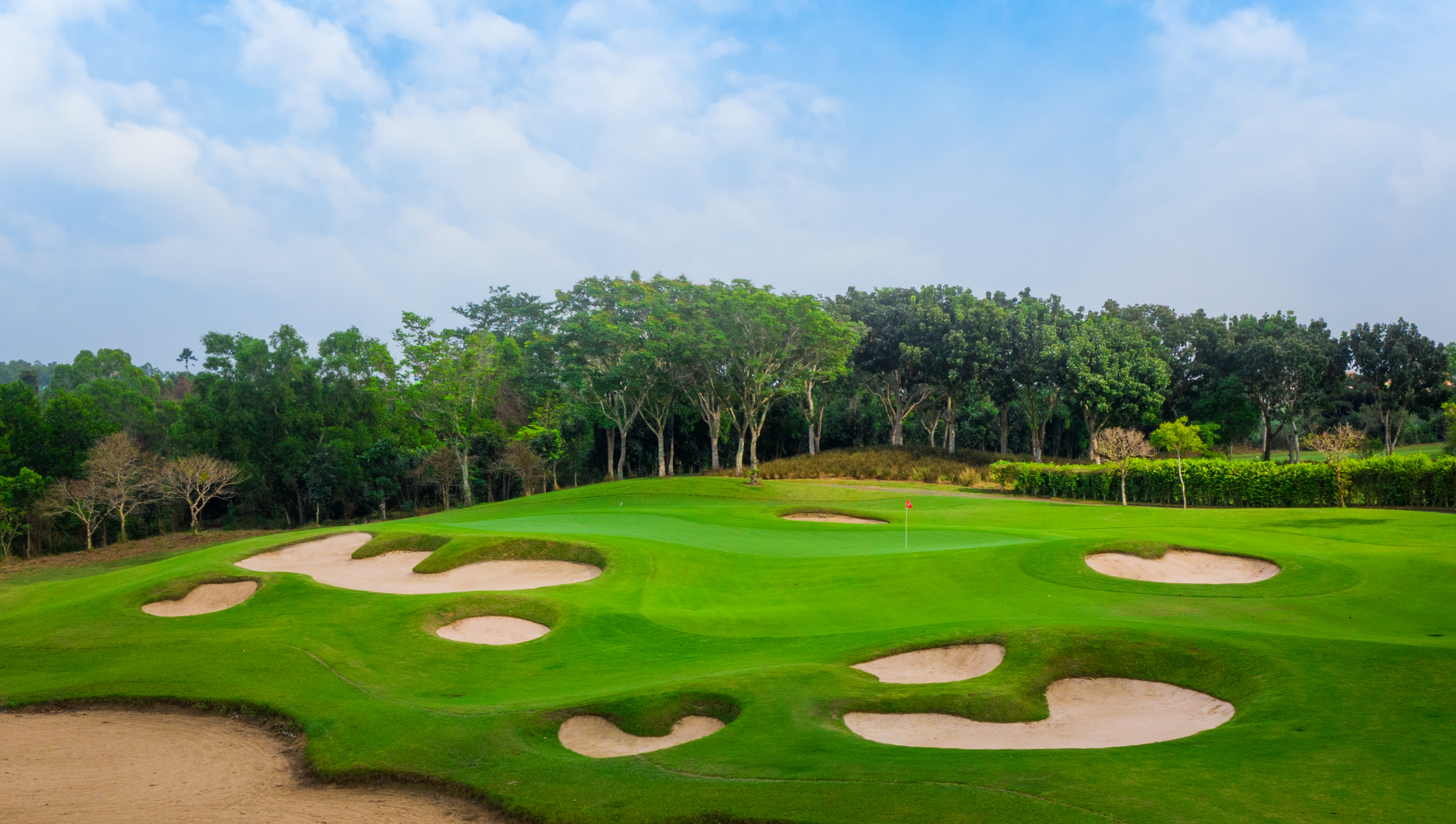 プランテーション